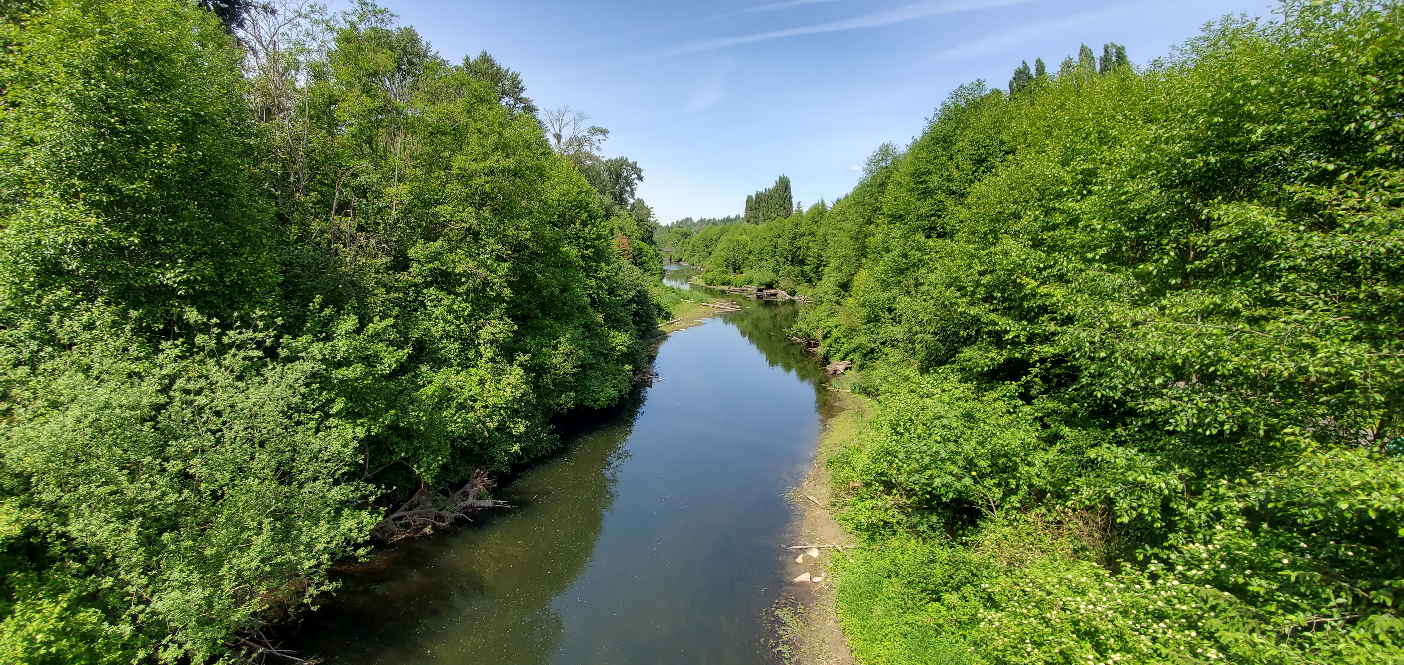 Sammamish River from the Redmond Central Connector Trestle Sammamish River from the Redmond Central Connector Trestle