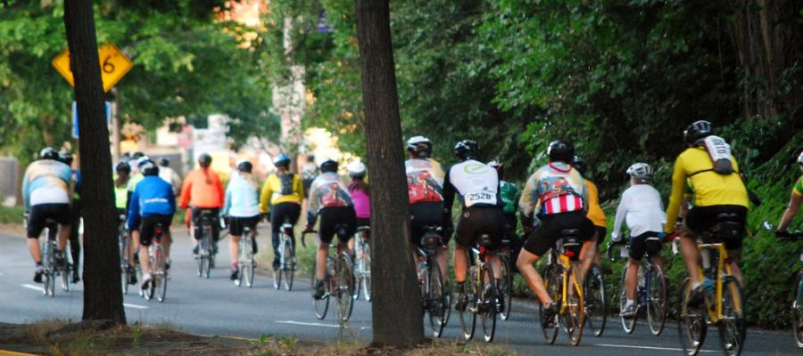 STP 2013