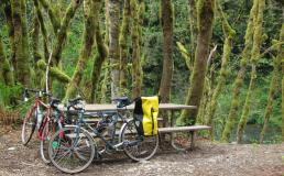 Two bikes lean against a picnic table on the Cedar River Trail